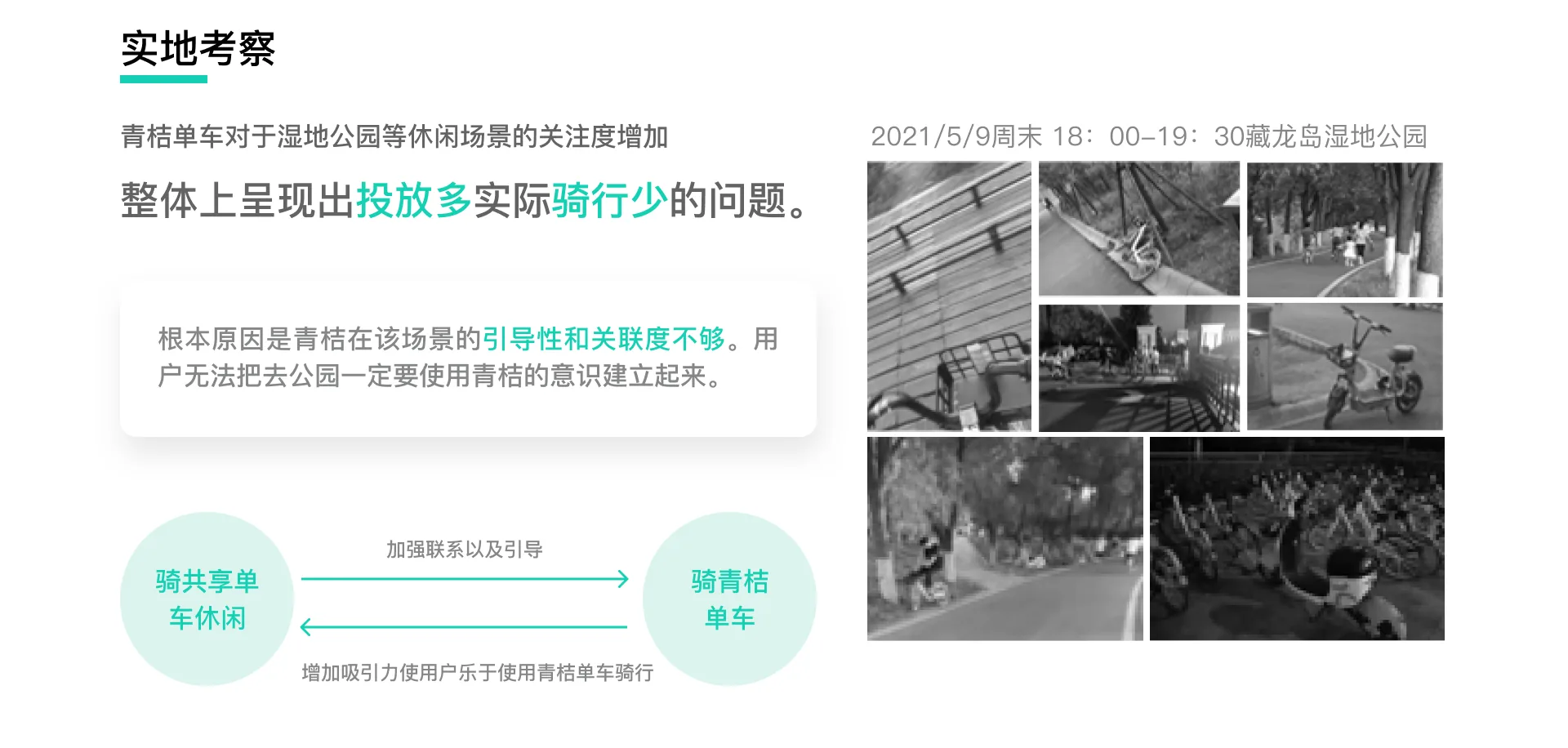 实地观察 · 武汉东湖